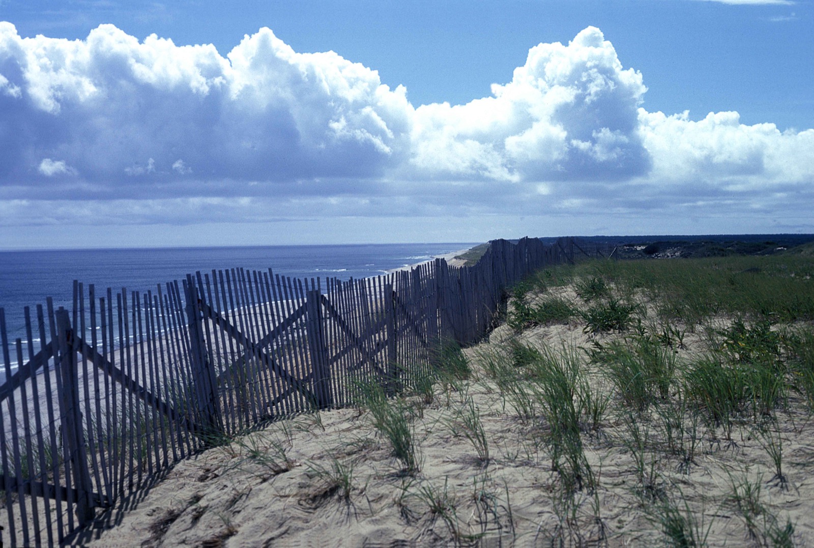 Cape Cod National Seashore, Wellfleet